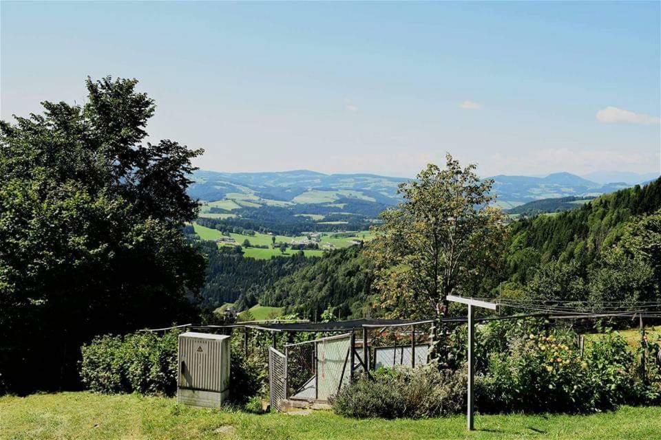 Ferienhaus Kreiner Sankt Kathrein am Offenegg Exterior foto